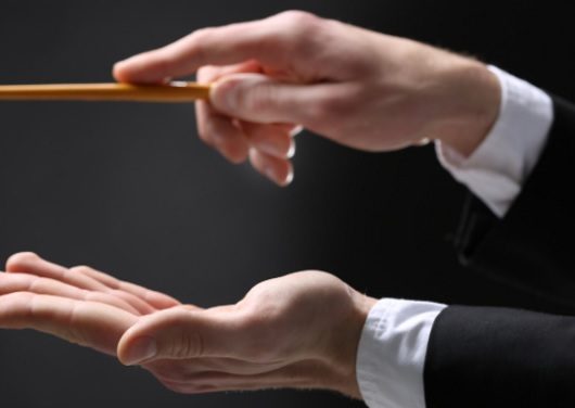 ¿Diriges tu pyme con instrumento o batuta?
