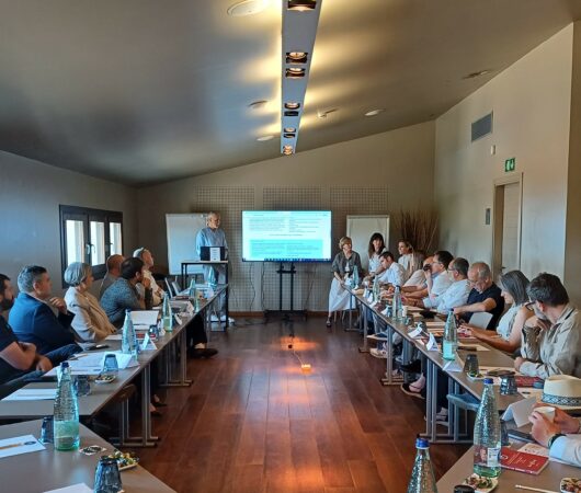 Resum del taller FAMÍLIA EMPRESÀRIA del 19 de juny