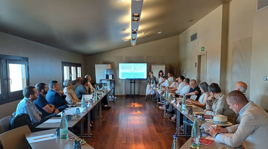 Resum del taller FAMÍLIA EMPRESÀRIA del 19 de juny