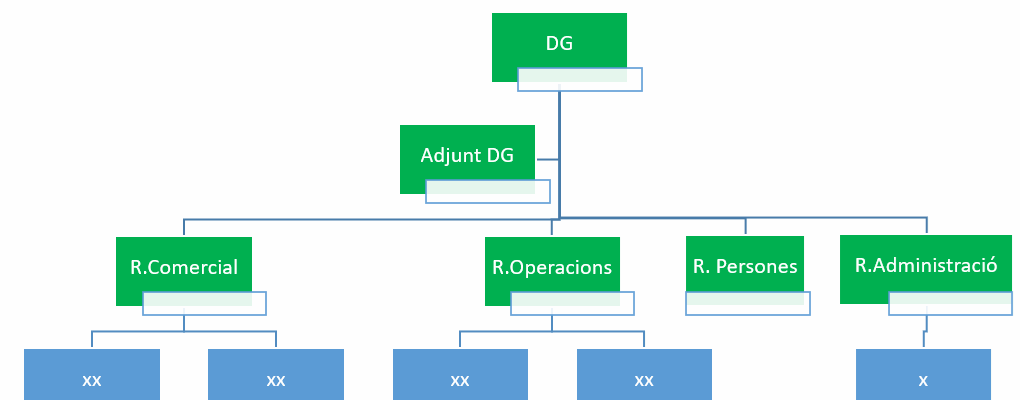 Com crear un equip directiu