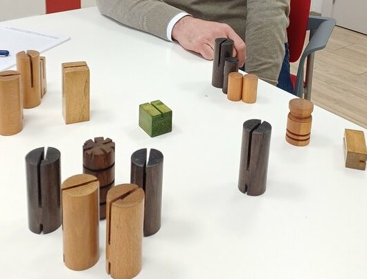 Una experiència de coaching sistèmic