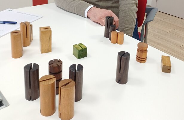 Una experiència de coaching sistèmic